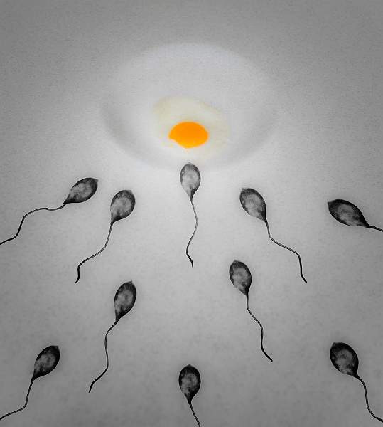 Peter Smith_New Life.jpg - New Life